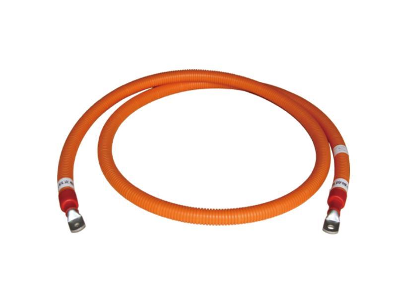 New energy vehicle wiring harness