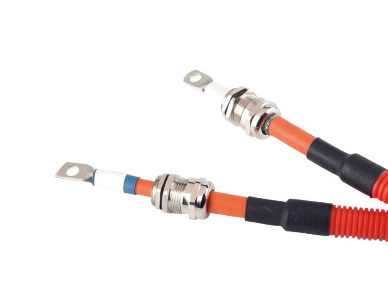 New energy vehicle wiring harness